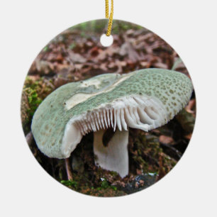 Grüner Pilz - Russula crusosa Keramik Ornament