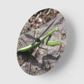 Grüner Preying Mantis auf einem Felsen Runde Wanduhr (Winkel)