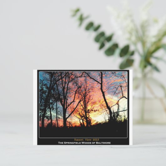 Grüner Raum Baltimores - Sonnenuntergang-Ansicht Postkarte (Stehend Vorderseite)