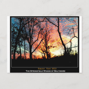Grüner Raum Baltimores - Sonnenuntergang-Ansicht Postkarte
