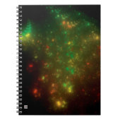 Grüner Raum Notizblock (Vorderseite)