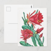 Grüner roter blühender Kaktus Postkarte (Vorne/Hinten)