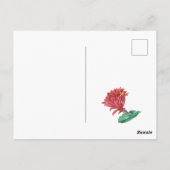 Grüner roter blühender Kaktus Postkarte (Rückseite)