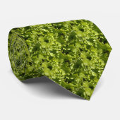 Grüner Salat Krawatte (Gerollt)