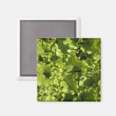 Grüner Salat Magnet (Vorderseite/Rückseite)