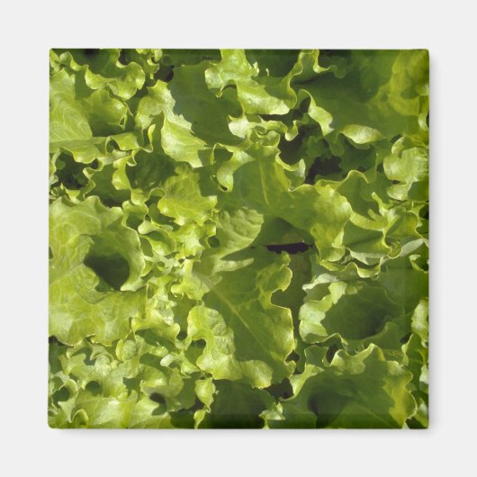 Grüner Salat Magnet (Vorne)