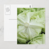 Grüner Salat Postkarte (Vorne/Hinten)