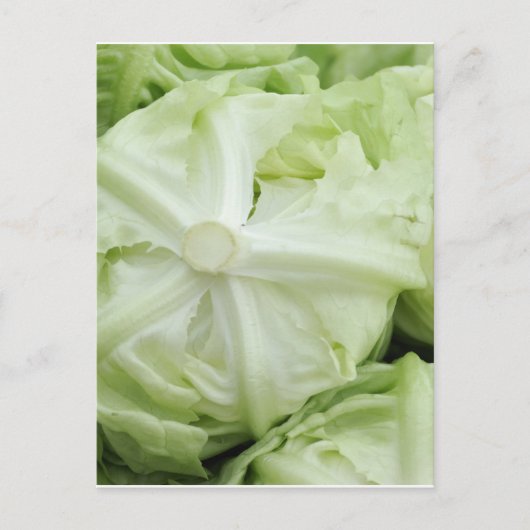 Grüner Salat Postkarte (Vorderseite)