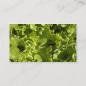 Grüner Salat Visitenkarte (Rückseite)