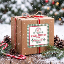 Grüner Santa-Express-Rentier-Lieferung Kariert