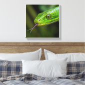 Grüner Schlange Kopf Leinwanddruck (Insitu (Schlafzimmer))