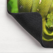 Grüner Schlangenreptil Mousepad (Ecke)