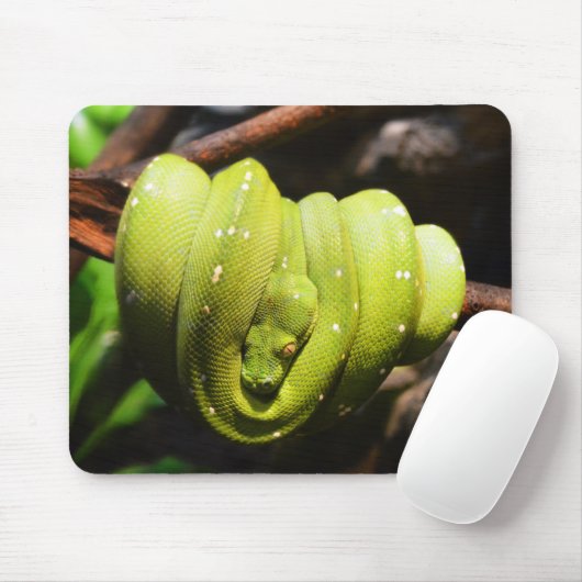 Grüner Schlangenreptil Mousepad (Mit Mouse)