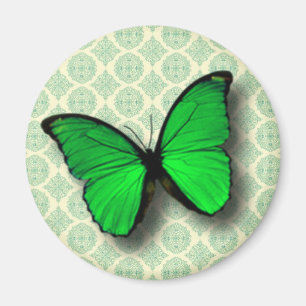 Grüner Schmetterling auf Vintage-Muster Magnet
