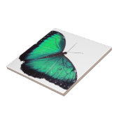Grüner Schmetterling Fliese (Seite)