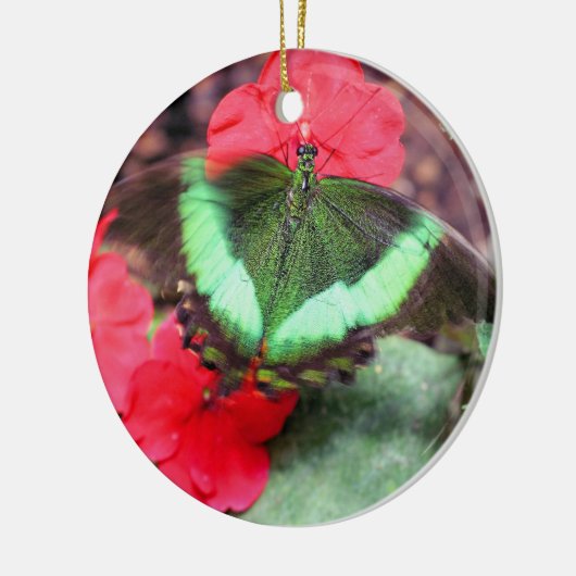 Grüner Schmetterling Keramik Ornament (Links)