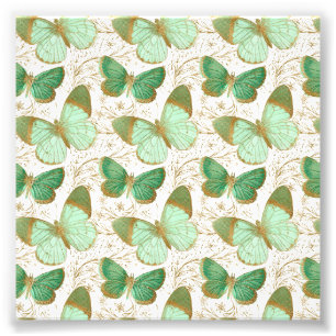 Grüner Schmetterling Weiße Blütenblume Blume Bl Fotodruck