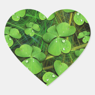 Grüner Shamrock St. Patrick's Day Aufkleber