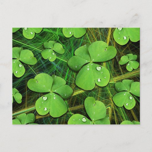 Grüner Shamrock St. Patrick's Day Postkarte (Vorderseite)