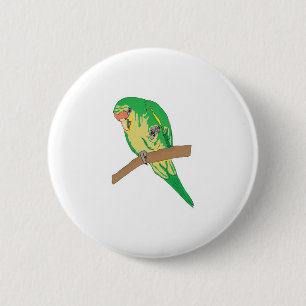 Grüner Sittich Button
