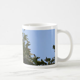 Grüner Sittich Kaffeetasse