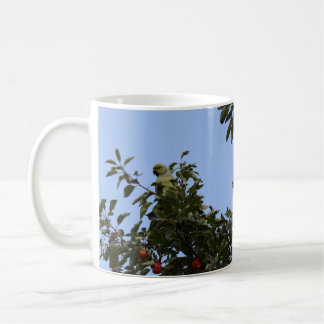 Grüner Sittich Kaffeetasse