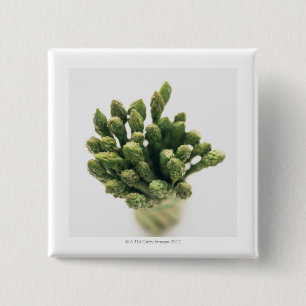 Grüner Spargel Button