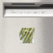Grüner Spargel mit Zitronenzest, geröstet Magnet (In Situ (Geschirrspüler))