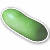 Grüner Squash (Winter Melon) Aufkleber (Vorderseite)
