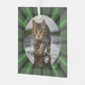 Grüner Sternenexplosion individueller Katzen-Feier Ornament Aus Glas (Vorderseite links)