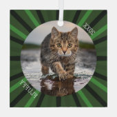Grüner Sternenexplosion individueller Katzen-Feier Ornament Aus Glas (Rückseite)