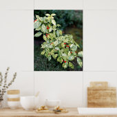 Grüner Strauch mit roten Beeren Poster (Küche)