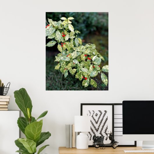 Grüner Strauch mit roten Beeren Poster (Heimbüro)