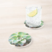 Grüner Succulent Sandstein Untersetzer (Seite)