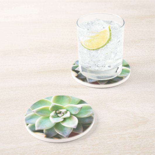 Grüner Succulent Sandstein Untersetzer (Seite)