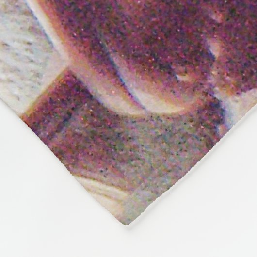 Grüner Sukkulent Aeonium Dream Big Fleecedecke (Ecke)