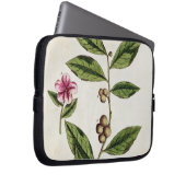 Grüner Tee, überziehen 351 von "einem neugierigen Laptopschutzhülle (Vorne Rechts)