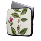 Grüner Tee, überziehen 351 von "einem neugierigen Laptopschutzhülle (Vorderseite Links)