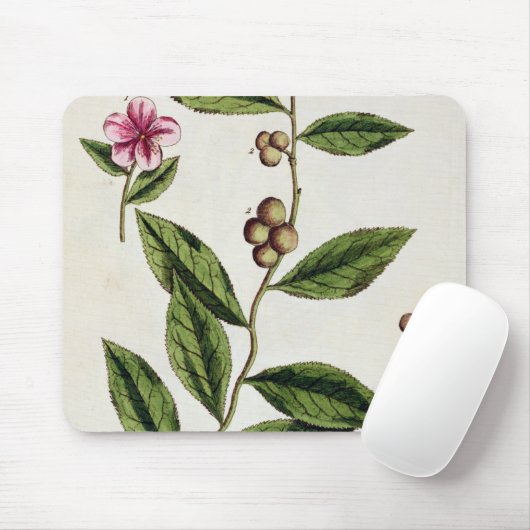 Grüner Tee, überziehen 351 von "einem neugierigen Mousepad (Mit Mouse)