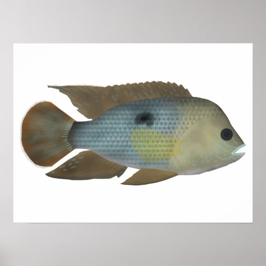 Grüner Terror Poster (Vorne)