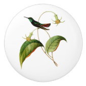 Grüner Throated Mango Hummingbird Keramikknauf (Vorderseite)