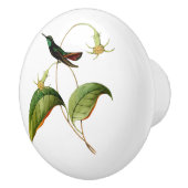 Grüner Throated Mango Hummingbird Keramikknauf (Rechts)