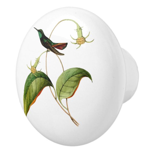 Grüner Throated Mango Hummingbird Keramikknauf (Rechts)