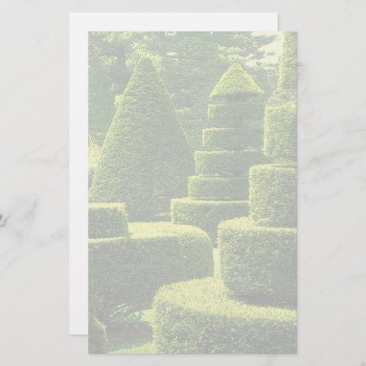 Grüner Topiary - Briefpapier (Vorne/Hinten)