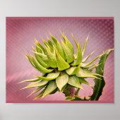 Grüner Traum Poster (Vorne)