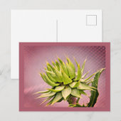 Grüner Traum Postkarte (Vorne/Hinten)