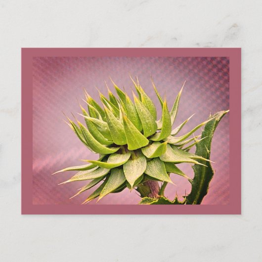 Grüner Traum Postkarte (Vorderseite)