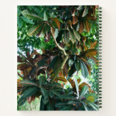 Grüner Tropenwald Notizblock (Rückseite)