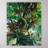 Grüner Tropenwald Poster (Vorne)