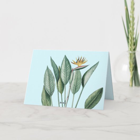 Grüner Tropischer Dschungel Banana Tree Strelitzia Karte (Rückseite)